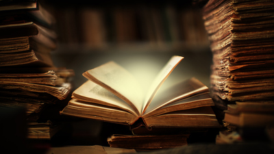 Terim anlam ne demek?