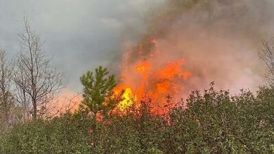 Kütahya'da orman yangını