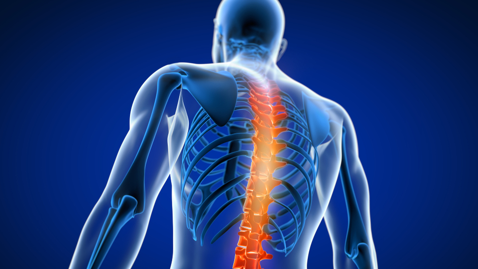 Vücutta enerji üretimi ve kemik sağlığının kaynağı!