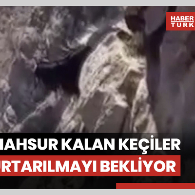 Kayalıkta mahsur kalan keçiler 3 gündür kurtarılmayı bekliyor