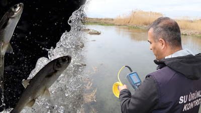 Zorlu göç öncesi sıcaklık ölçümü
