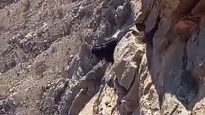 3 gündür kurtarılmayı bekliyorlar