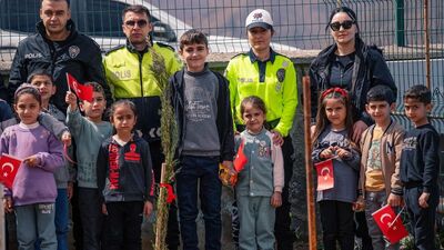 Kato Dağı eteklerine fidan diktiler