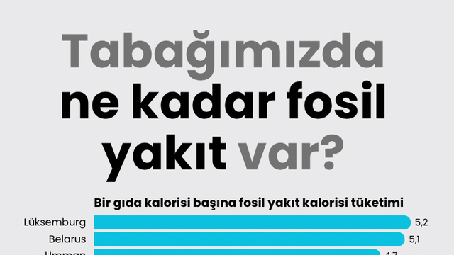 Tabağımızda ne kadar fosil yakıt var?