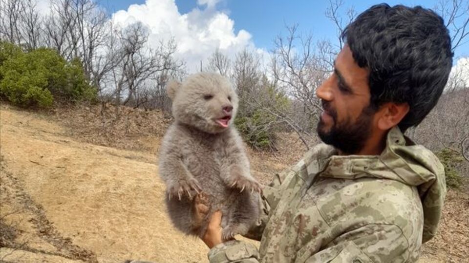 Doğaya bırakıldı