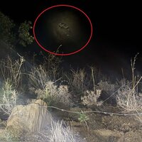 Kahramanmaraş'ta hafif ticari araç uçuruma yuvarlandı: 1 ölü, 3 yaralı thumbnail