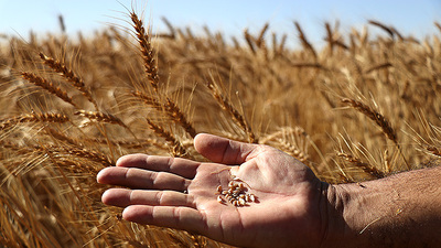 "Bu gelişmeler gıda arz güvenliğini tehdit ediyor"