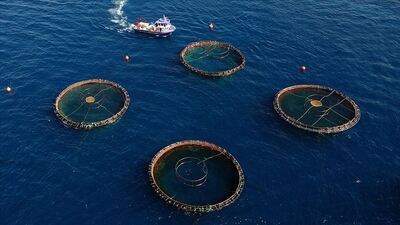 OECD'den okyanus ekonomisi uyarısı