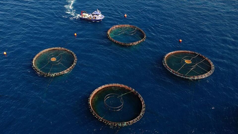 OECD'den okyanus ekonomisi uyarısı