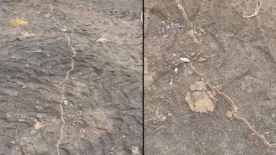 Tekirdağ'da görüntülendi: "Dokunmayın" uyarısı!