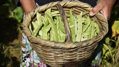 İstanbul'un zam şampiyonu taze fasulye