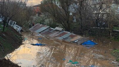 Bingöl'de sağanak: 2 ahıra su bastı, 5 hayvan öldü