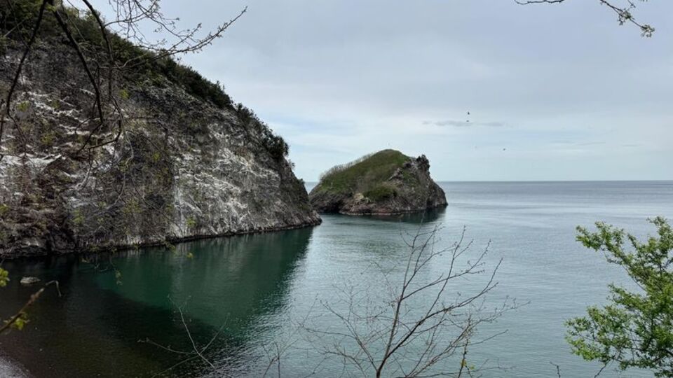 Girişlerin yasaklanınca uzaktan izlediler