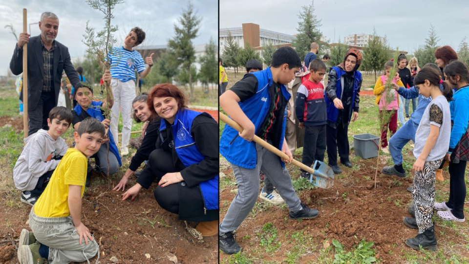 Diyarbakır'da fidan diktiler