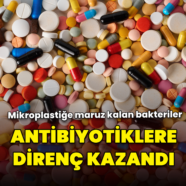 Mikroplastiğe maruz kalan bakteriler antibiyotiklere karşı direnç kazandı