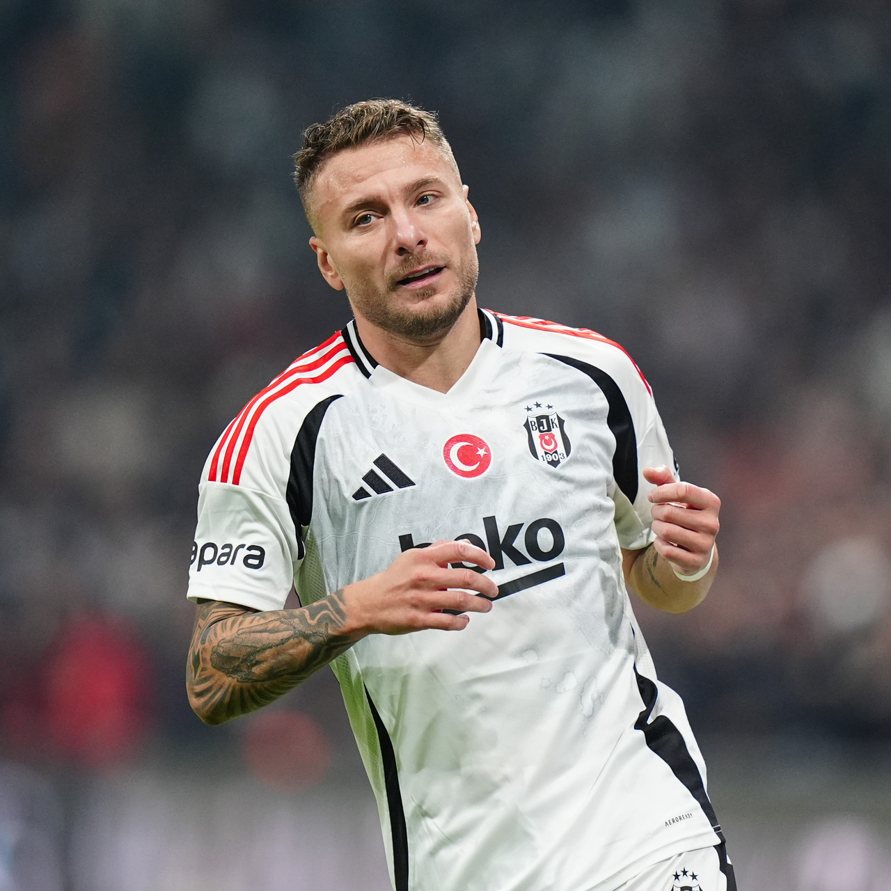 Immobile'nin yerine forvet iddiası!