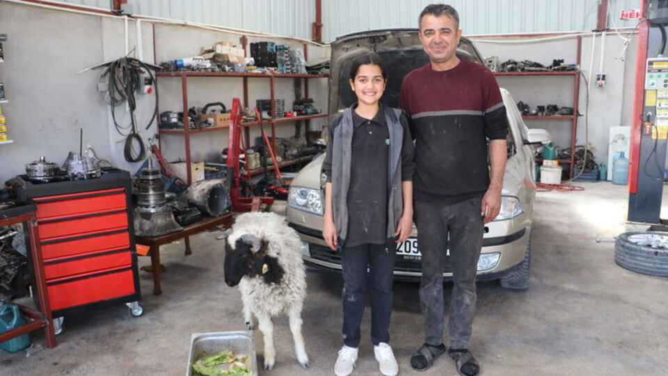 14 yaşındaki Nehir'in mesai arkadaşı kuzu oldu