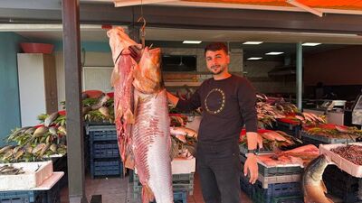 Biri 100 kiloluk 3 turna balığı yakaladı