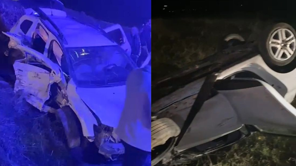 Domuza çarptı! Facia yaşandı!