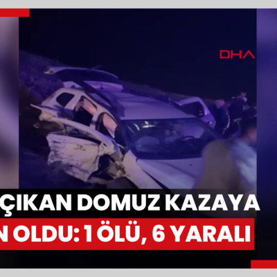 Yola çıkan domuz kazaya neden oldu: 1 ölü, 6 yaralı