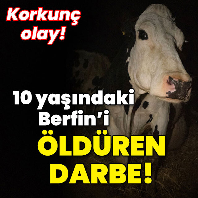 10 yaşındaki Berfin'i öldüren darbe!