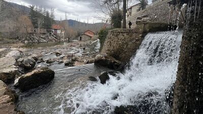 Antalya'da alabalığa tesis desteği