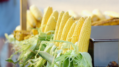 Mısırın diğer adı nedir?