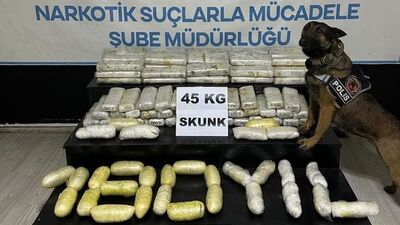 TIR'dan 61 kilogram uyuşturucu çıktı