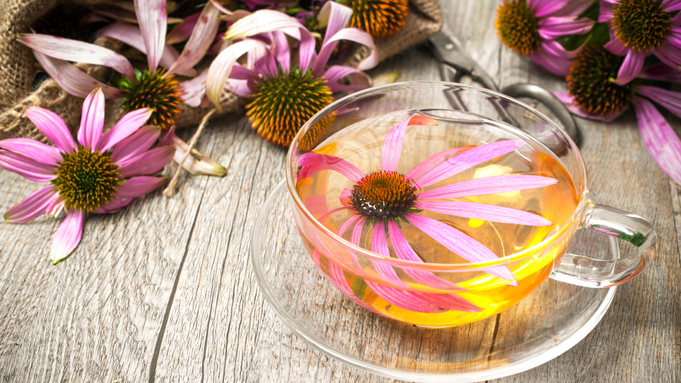 Ihlamurdan sıkılanlara: Gribin etkilerini azaltıyor