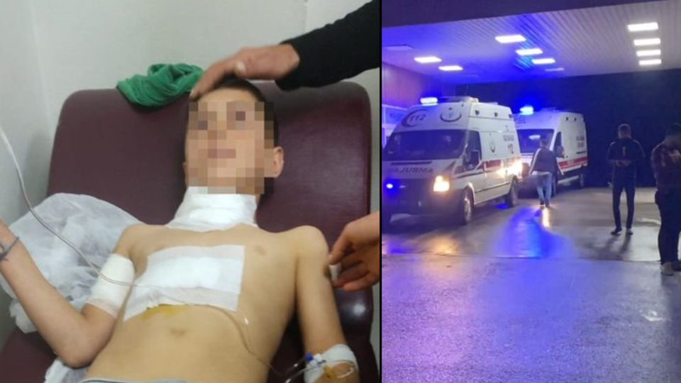 Sahipli köpeğin saldırısında yaralandı