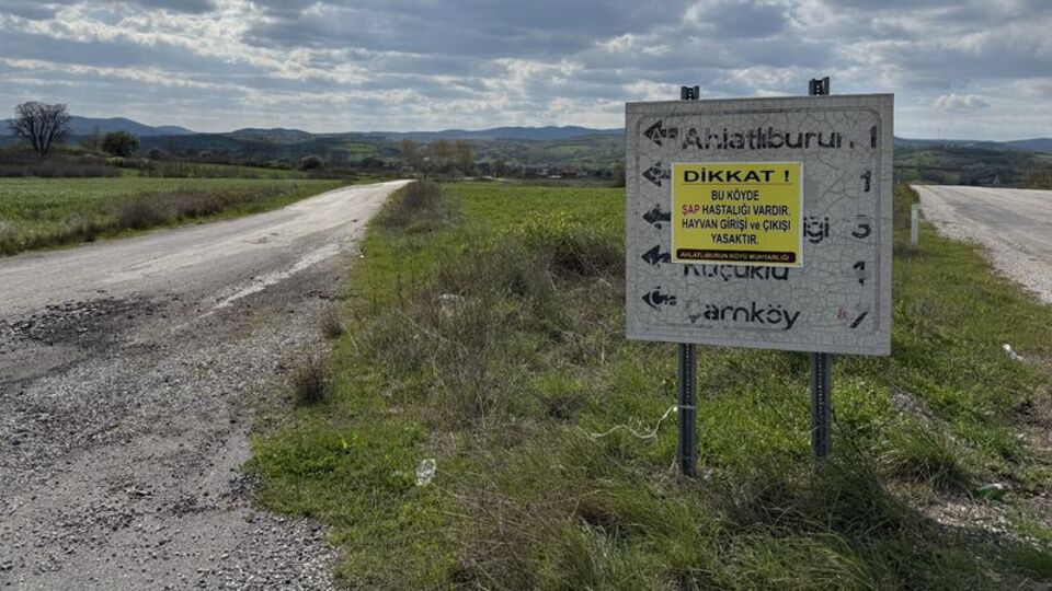 Çanakkale'de bir köyde daha şap karantinası