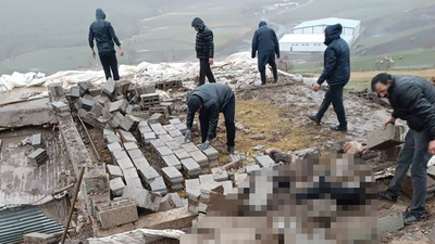 Fırtınada ahır çöktü: 25 hayvan öldü