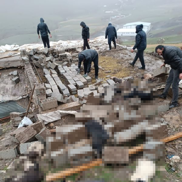 Fırtınada ahır çöktü: 25 hayvan öldü