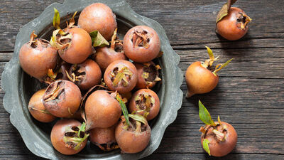 Muşmulanın diğer adı nedir?