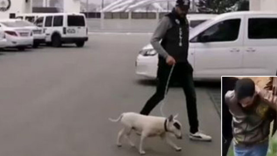 Türkiye'de 30, Ankara'da 2 taneydi! 430 bin TL değerinde köpeği çaldı!