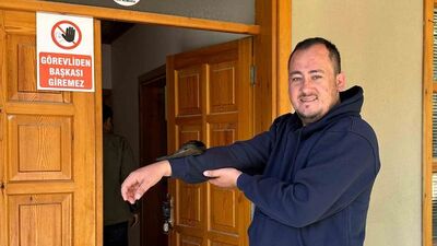 İş yerine giren ebabil kolunu bırakmadı