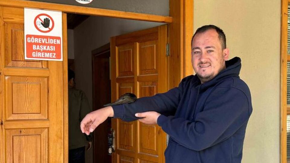 İş yerine giren ebabil kolunu bırakmadı