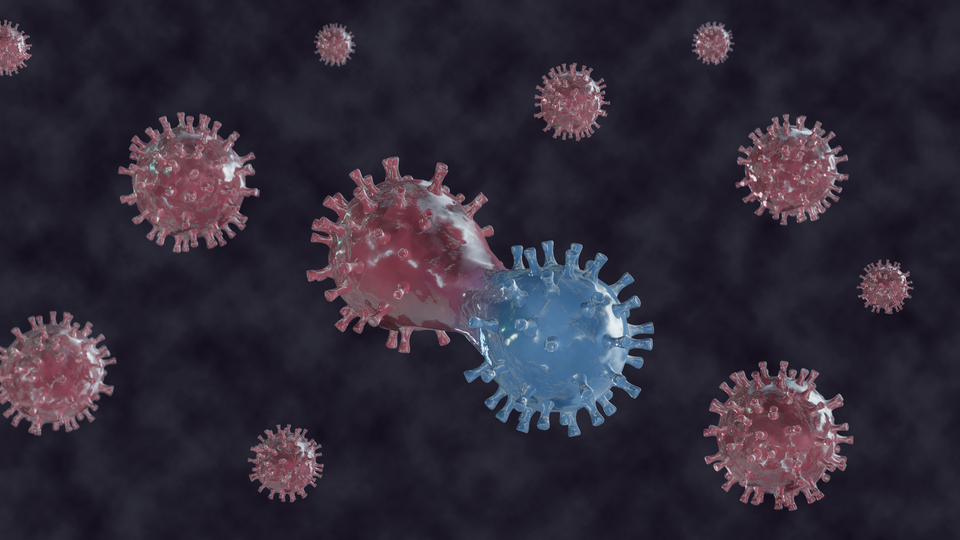 Kırsal bölgelerde yaşayanlarda hantavirüs riski!