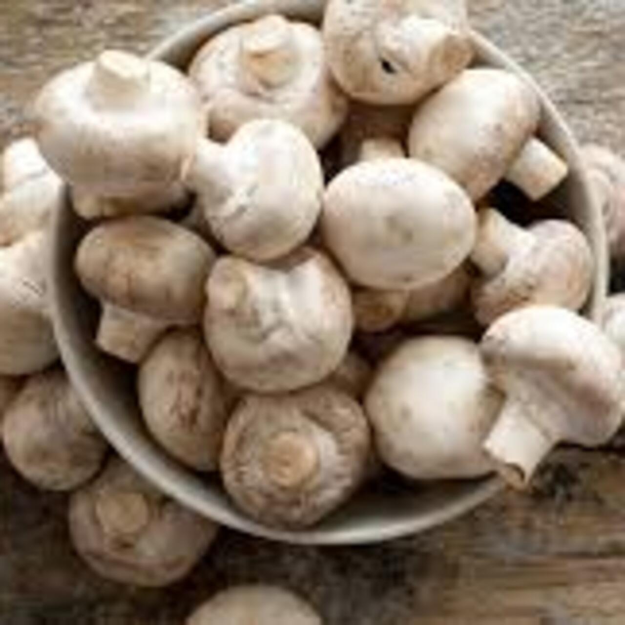 Kültür mantarı nasıl temizlenir? 