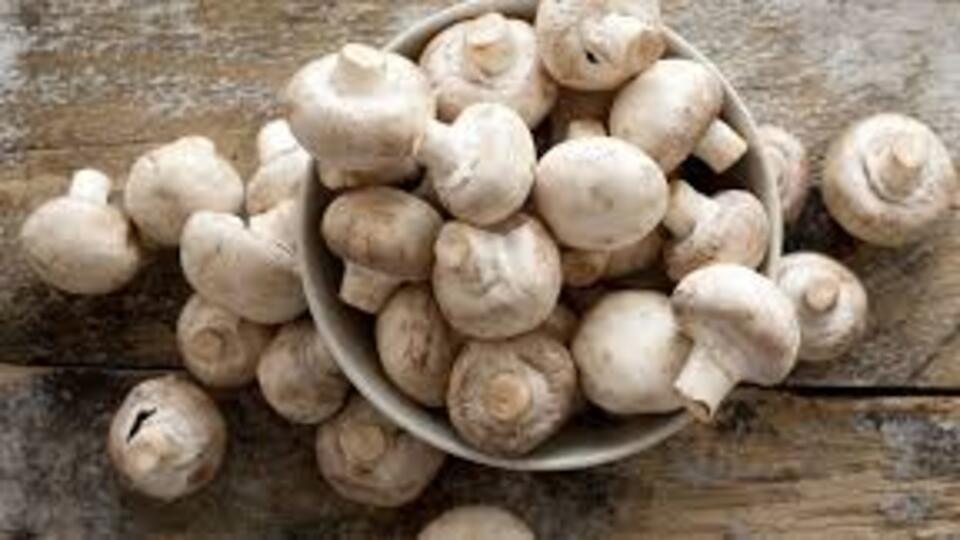 Kültür mantarı nasıl temizlenir?