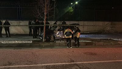 Ağaca çarpan otomobilin sürücüsü öldü