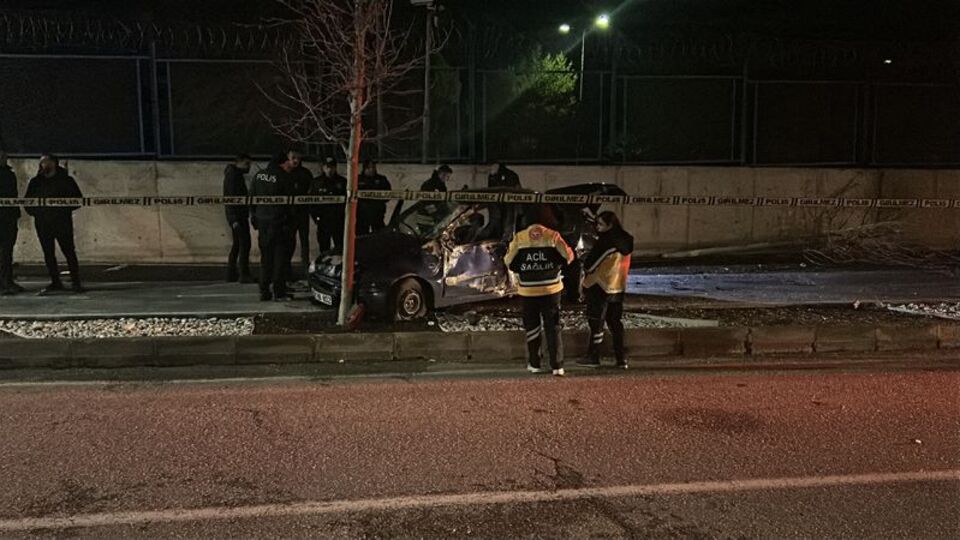 Ağaca çarpan otomobilin sürücüsü öldü