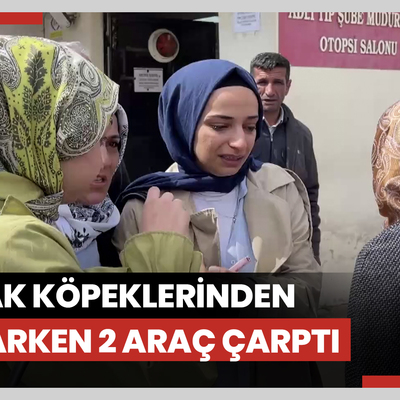 Sokak köpeklerinden kaçarken 2 aracın çarptığı üniversiteli Sevda, yaşamını yitirdi
