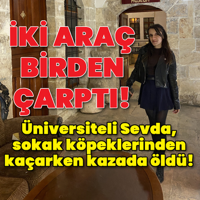Üniversiteli Sevda, sokak köpeklerinden kaçarken kazada öldü!
