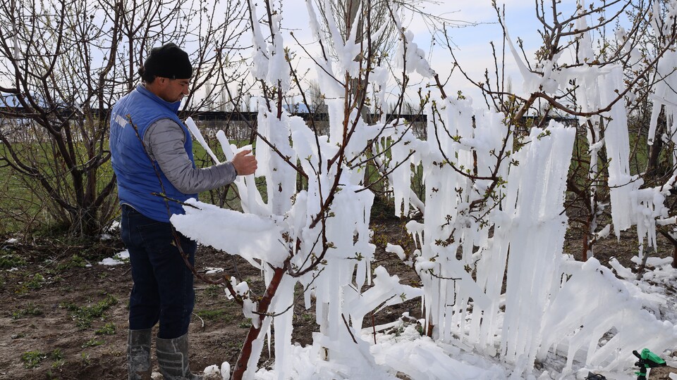 Karla karışık yağmur ve zirai don uyarısı