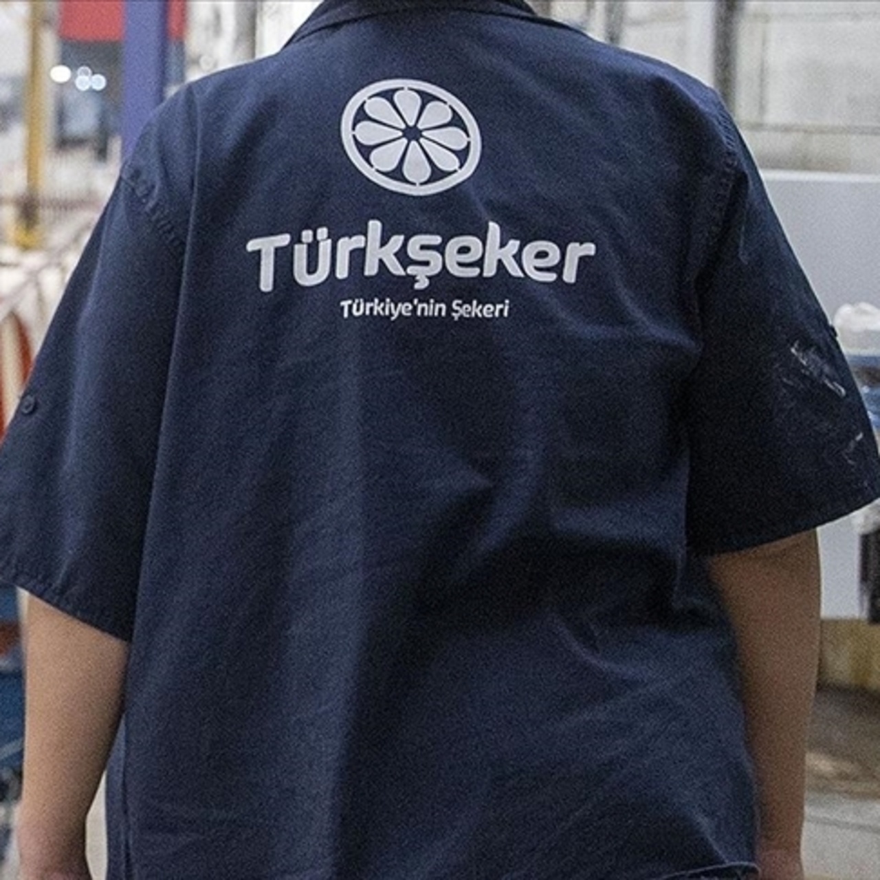 Türkşeker 1685 işçi alımı yapıyor
