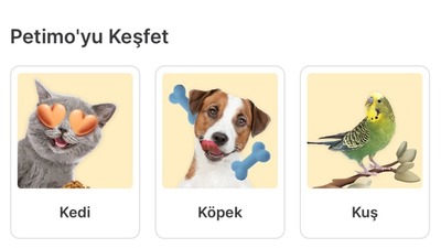 Evcil hayvan ürünlerine özel platform