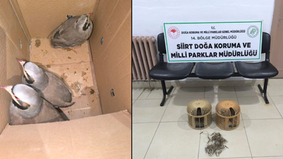Siirt'te keklik avına 111 bin 855 lira ceza