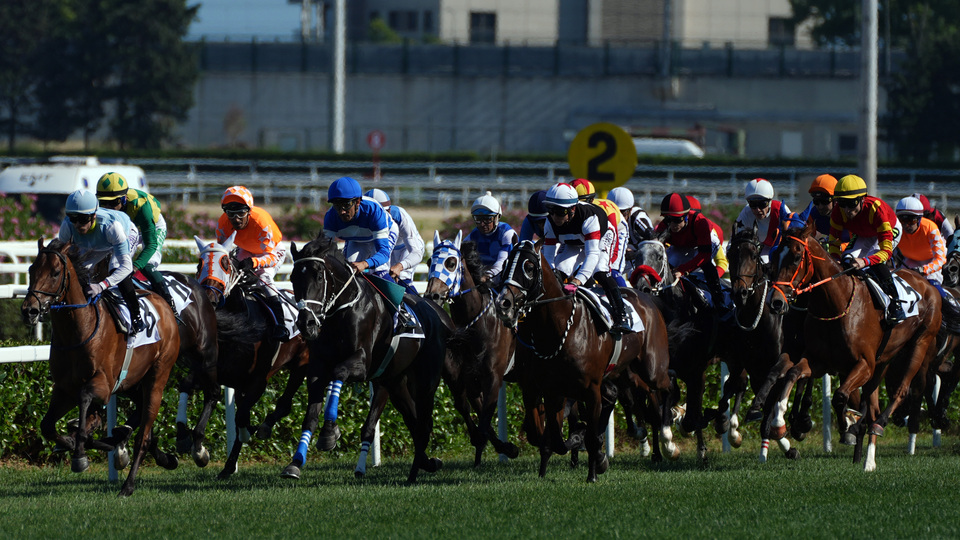 Veliefendi'de ilkbahar-yaz sezonu heyecanı!
