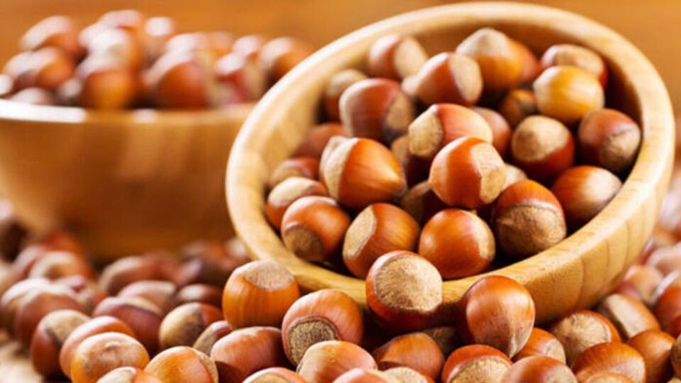 Fındık kilo aldırır mı?